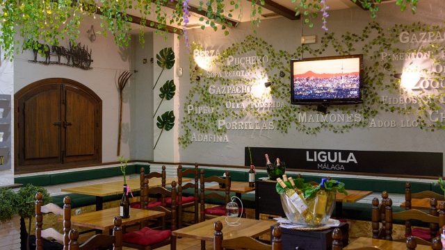 Lígula